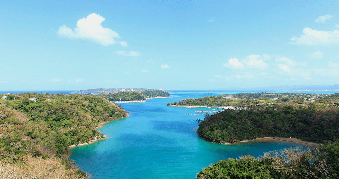 橋の駅リカリカワルミ