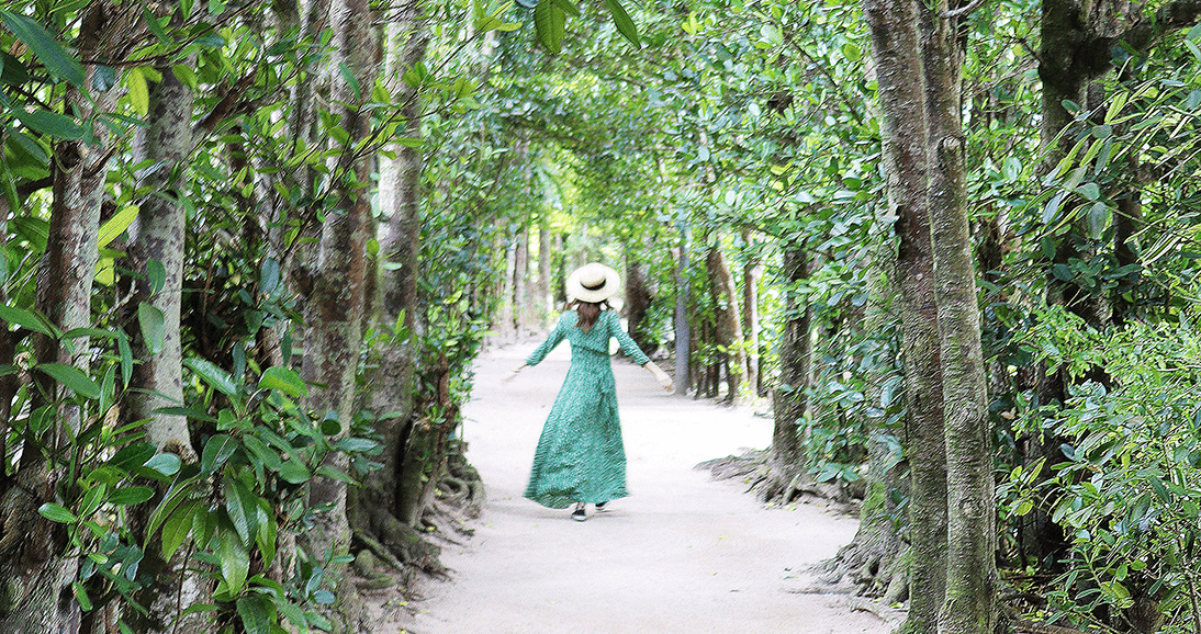 備瀬のフクギ並木