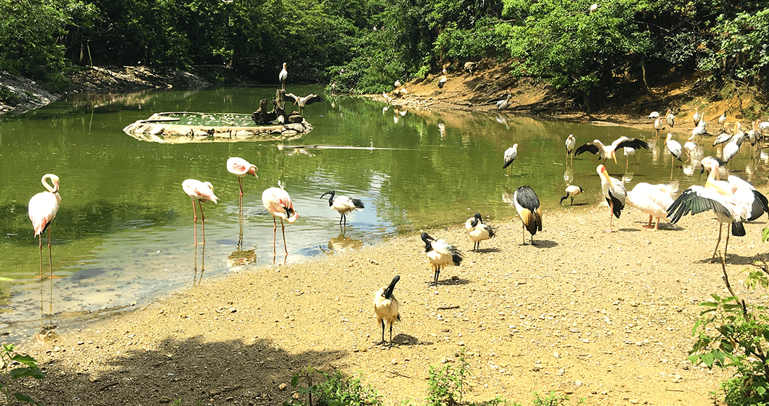 ネオパークオキナワ