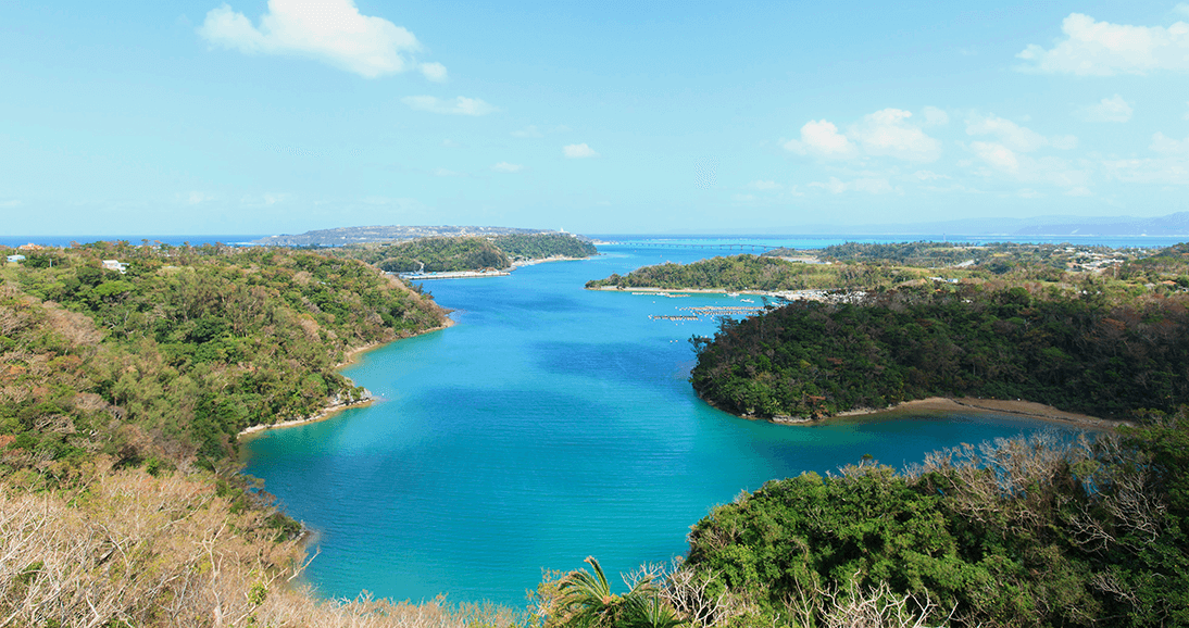 橋の駅リカリカワルミ