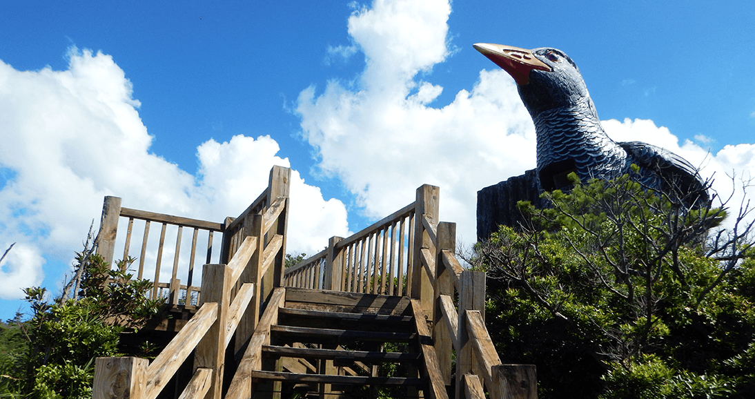 ヤンバルクイナ展望台